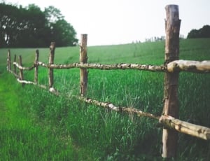 Green, Farm, Field, Fence, Country, protection, barbed wire thumbnail