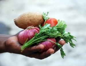 person holding vegetables on hand thumbnail