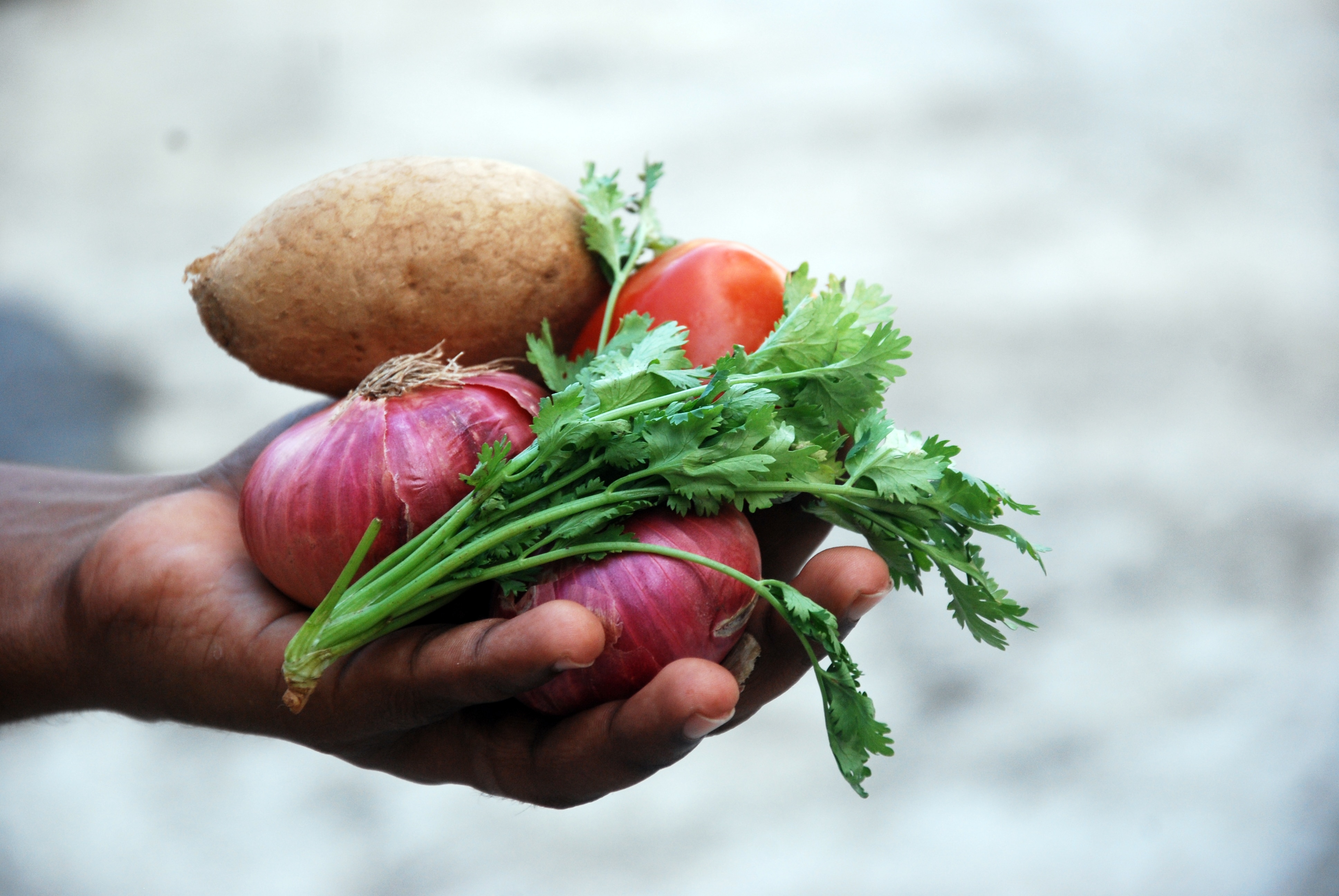 person holding vegetables on hand