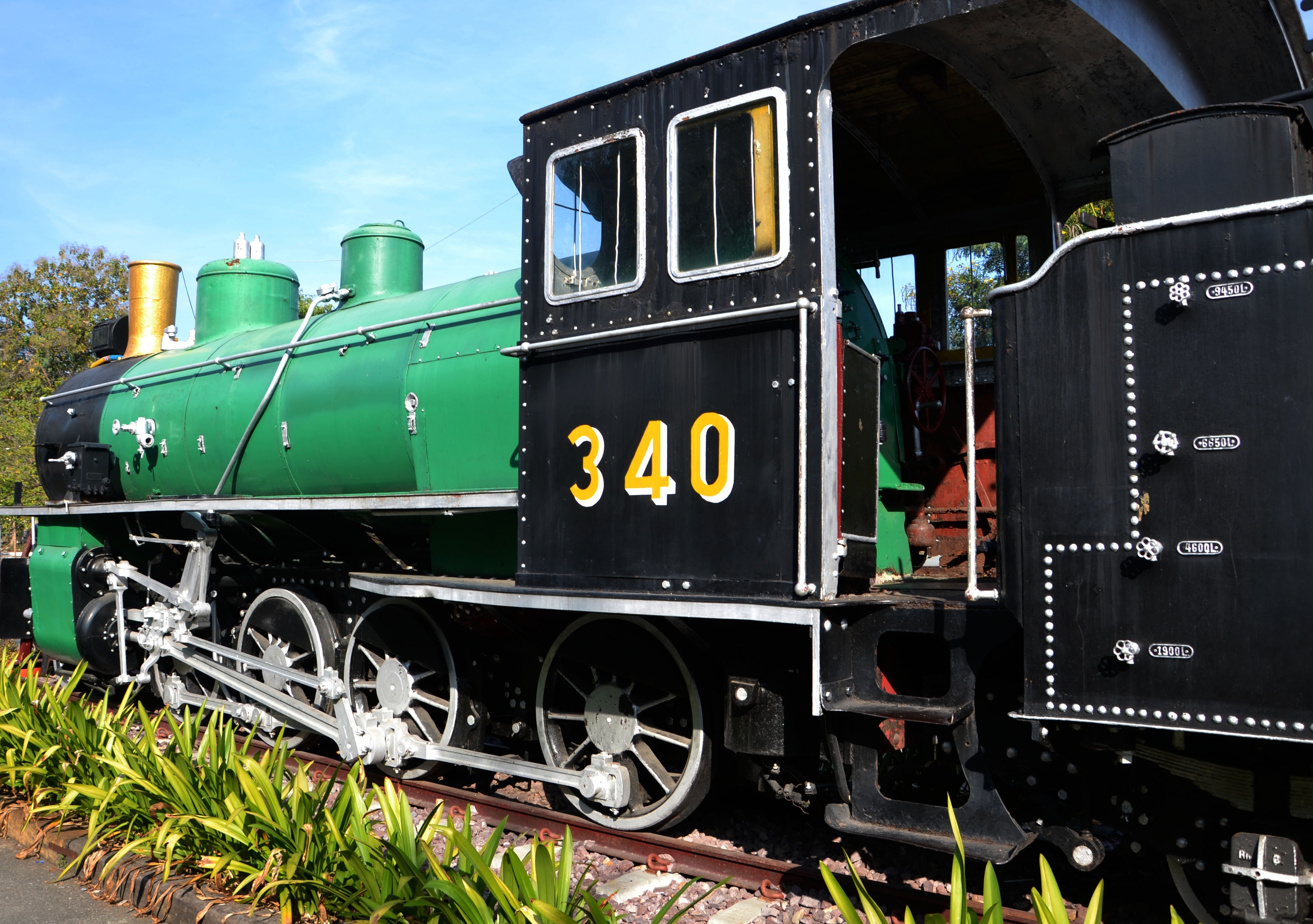 green and black train