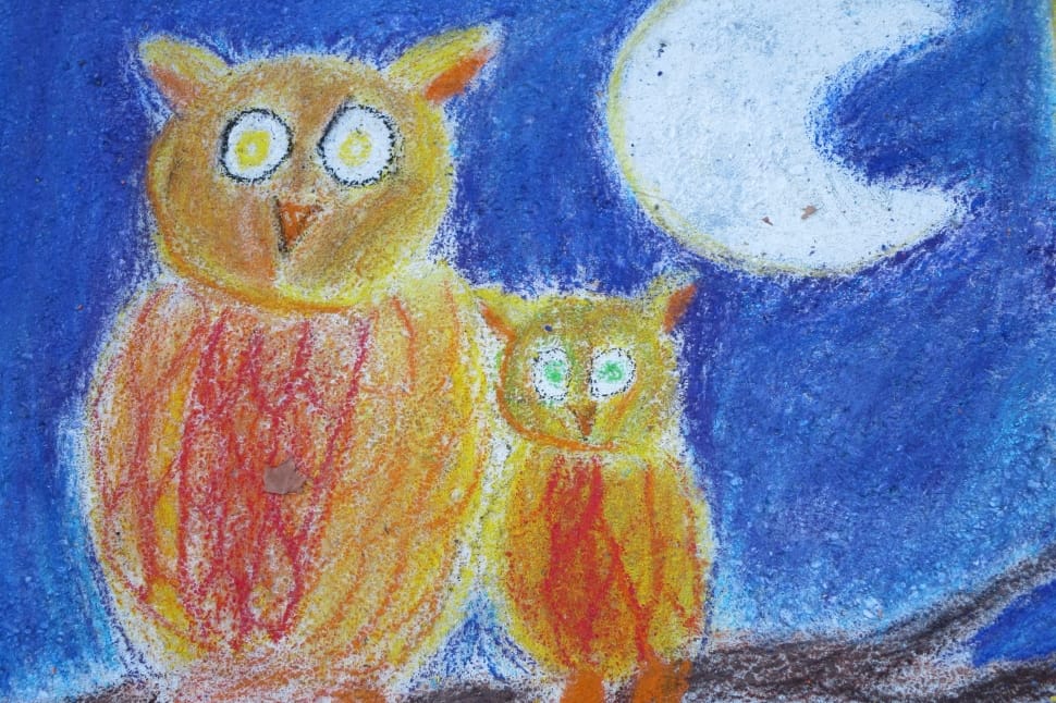 two orange and red owls under crescent moon drawing preview