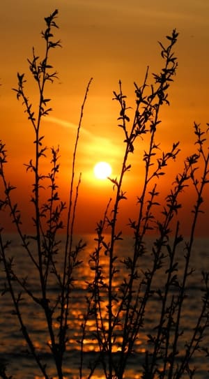 sunset view photography thumbnail