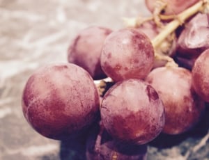 grapes fruit thumbnail