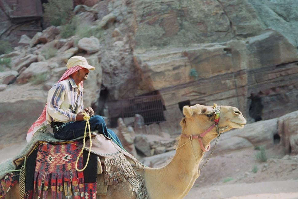man riding on camel during daytime preview
