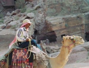 man riding on camel during daytime thumbnail