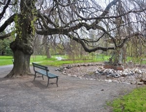 Relax, Park, Outdoor, Wood, Seat, Bench, tree, nature thumbnail