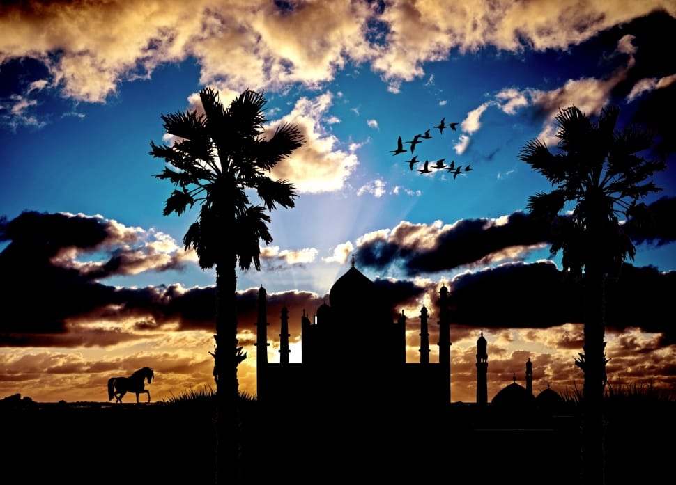 silhouette mosque preview