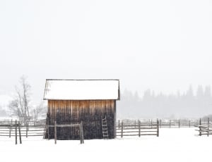 brown wooden shed and brown snow covered fence thumbnail