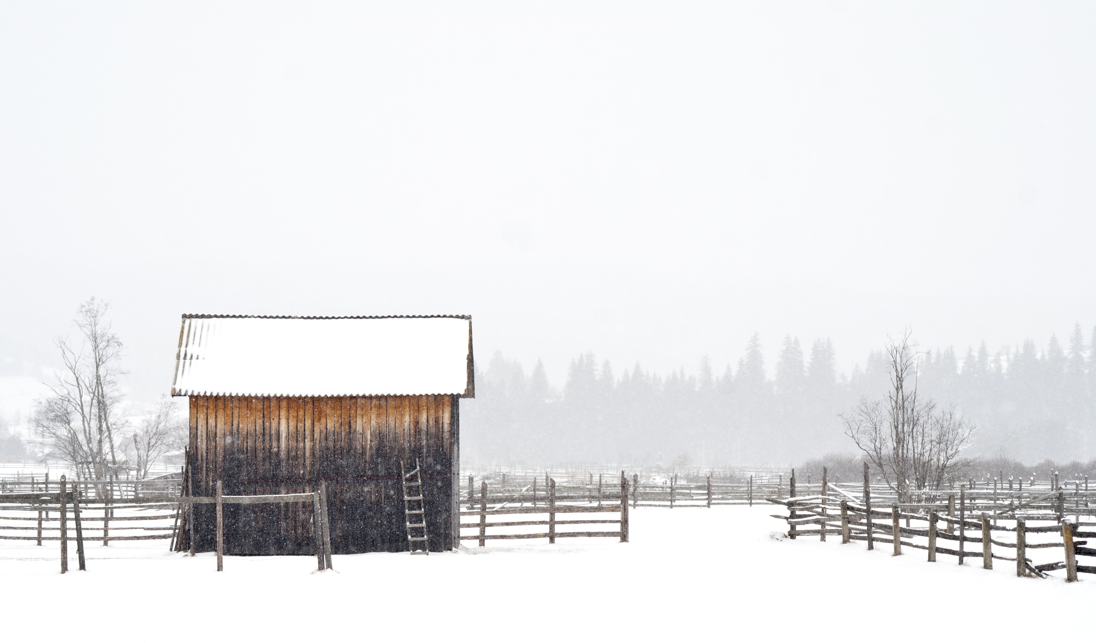 brown wooden shed and brown snow covered fence