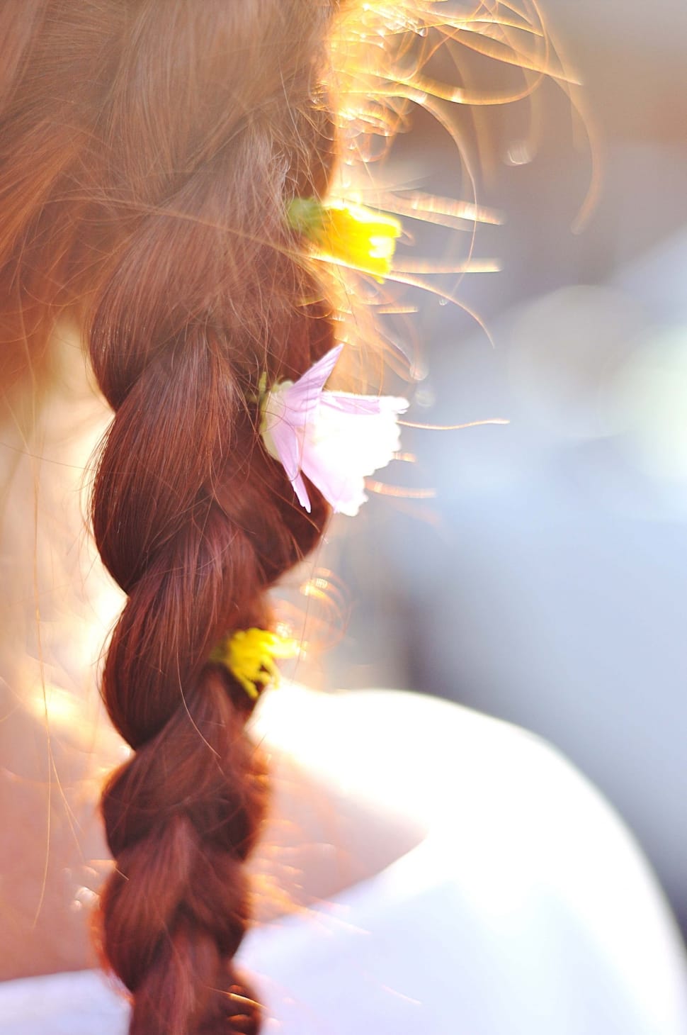 Red, Hair, Braid, Flowers, Summer, close-up, braided preview