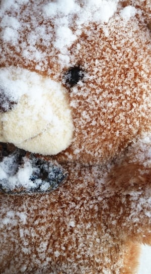 Fabric, Snowy, Toy, Teddy Bear, food and drink, no people thumbnail