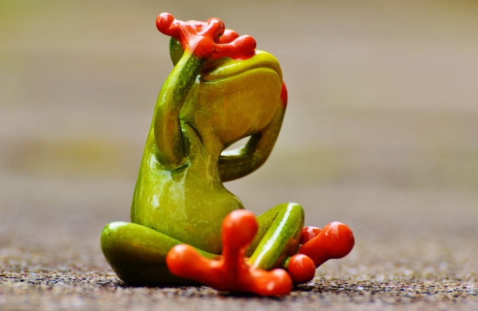 Frog, Not See, Funny, Fig, Fun, Cute, food and drink, vegetable preview