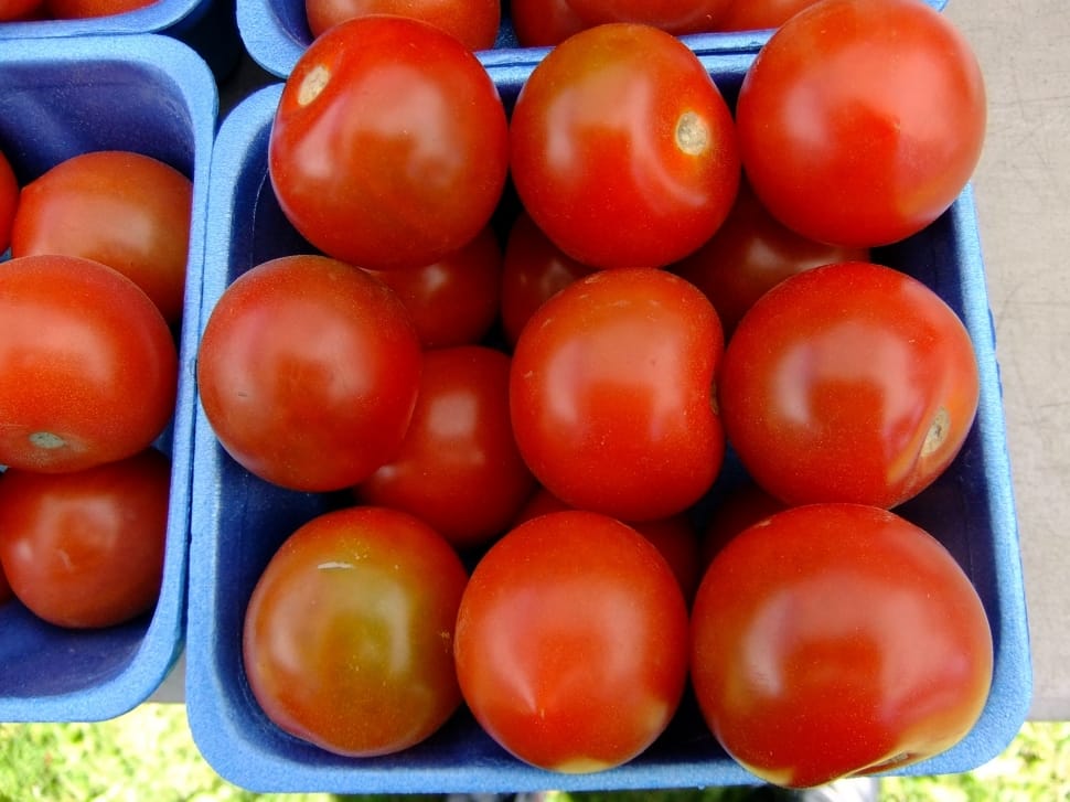 ripe tomatoes on gray container preview