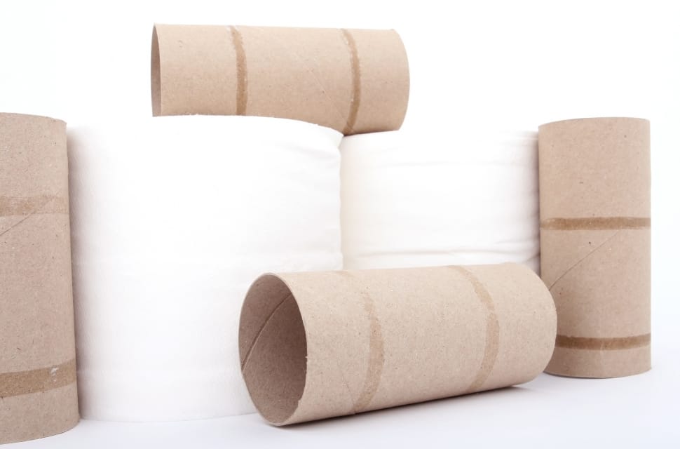 white toilette tissue roll preview