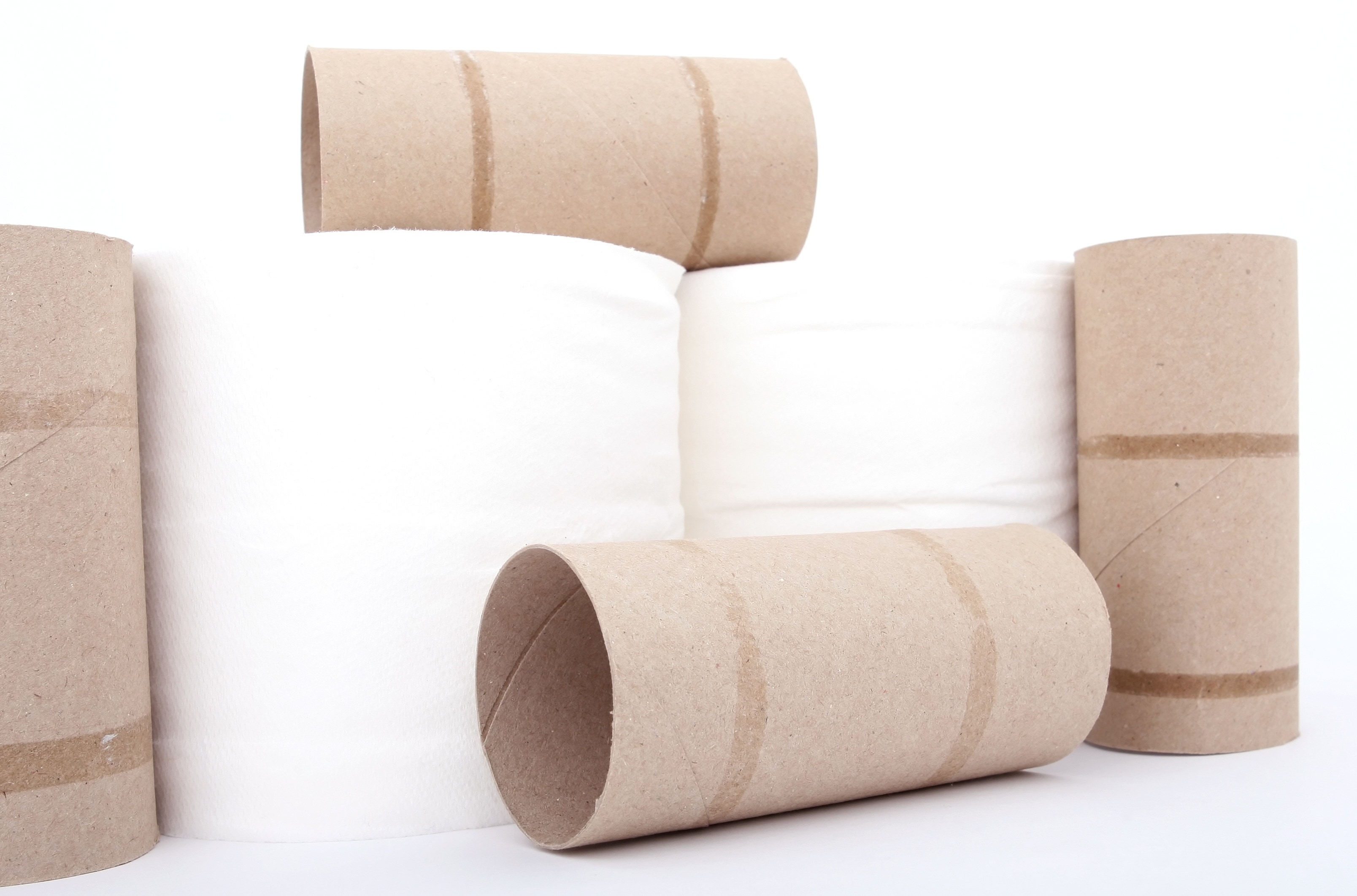 white toilette tissue roll