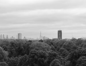 greyscale photo of tree and buildings thumbnail