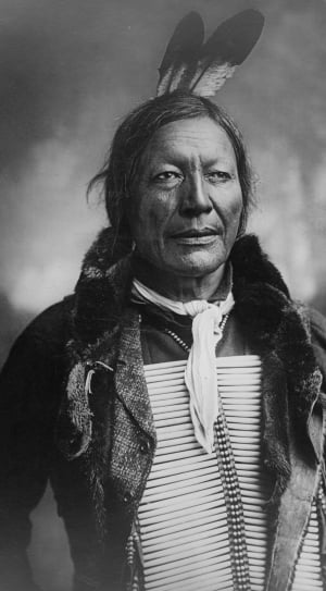 grayscale of native american male photo thumbnail