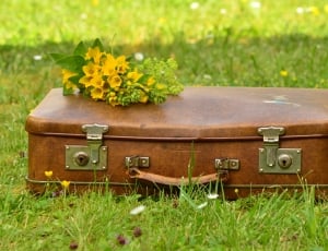 yellow petal flower and brown hard suitcase thumbnail
