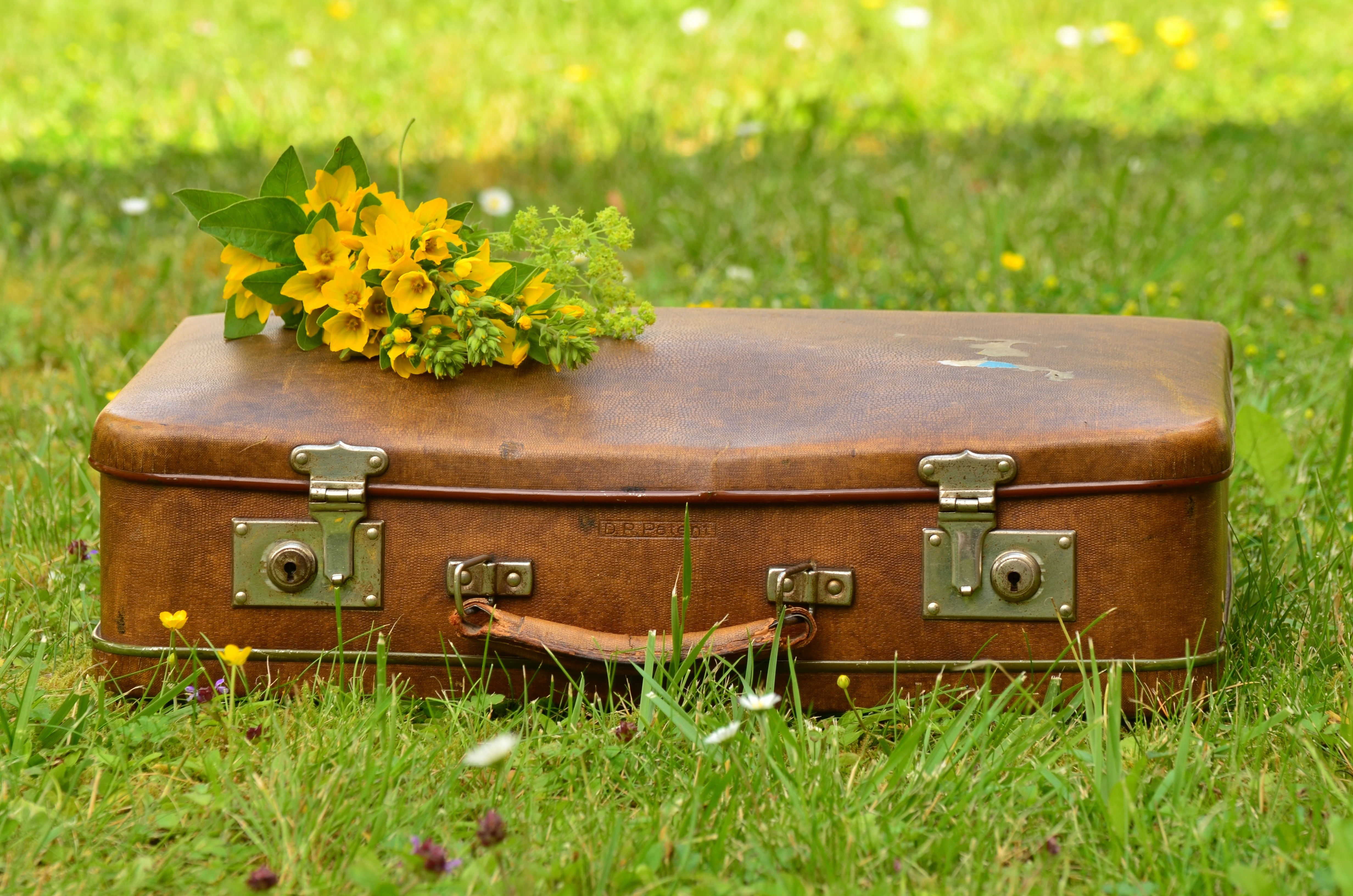 yellow petal flower and brown hard suitcase