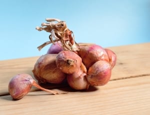Red, Approach, Onion, Detail, Ingredient, food and drink, healthy eating thumbnail