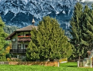 white and brown 3 storey house near green leaf trees with glacier mountain background thumbnail
