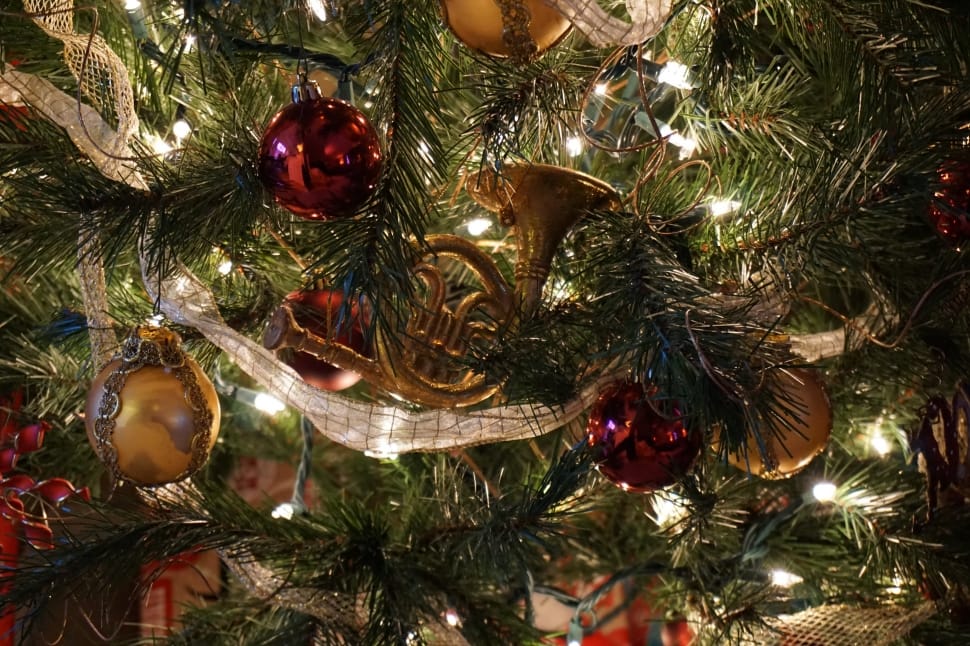 Christmas, Holiday, Tree, christmas, christmas tree preview