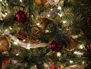 Christmas, Holiday, Tree, christmas, christmas tree thumbnail