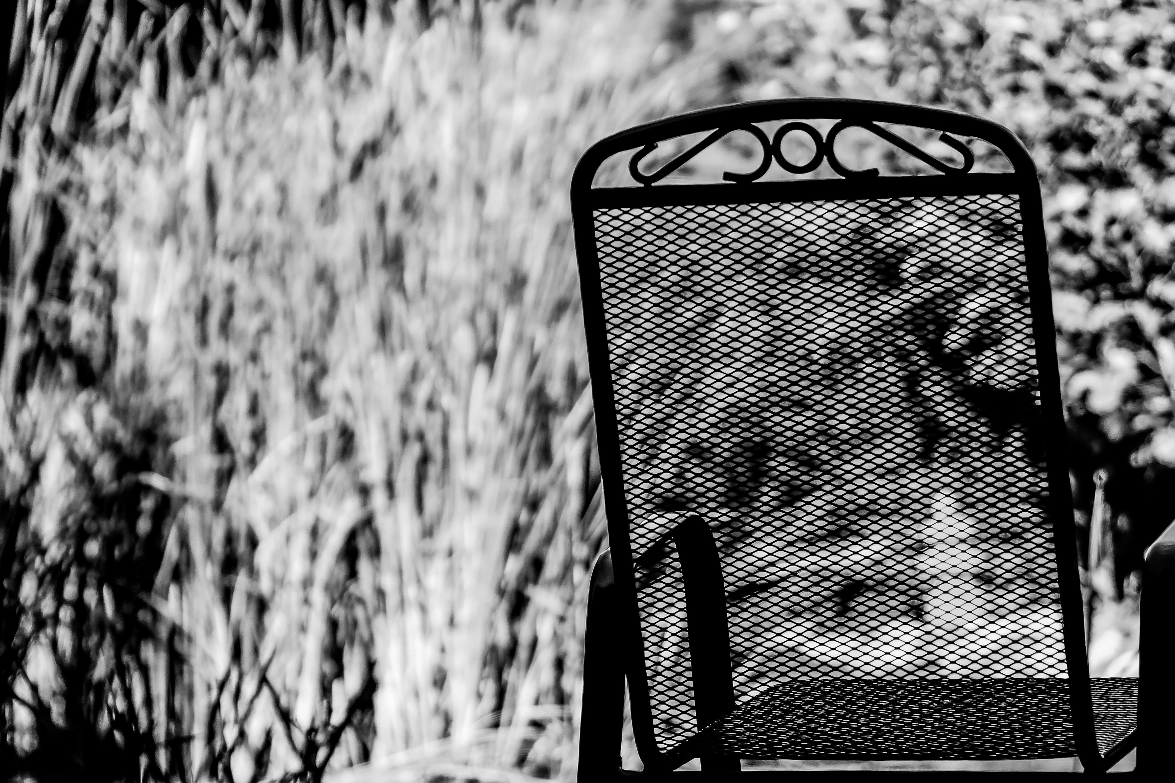 greyscale photo of mesh back metal armchair