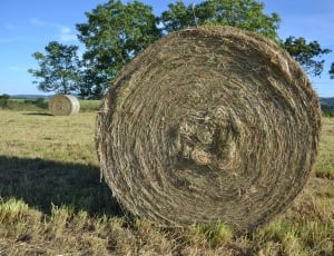 brown round hay thumbnail