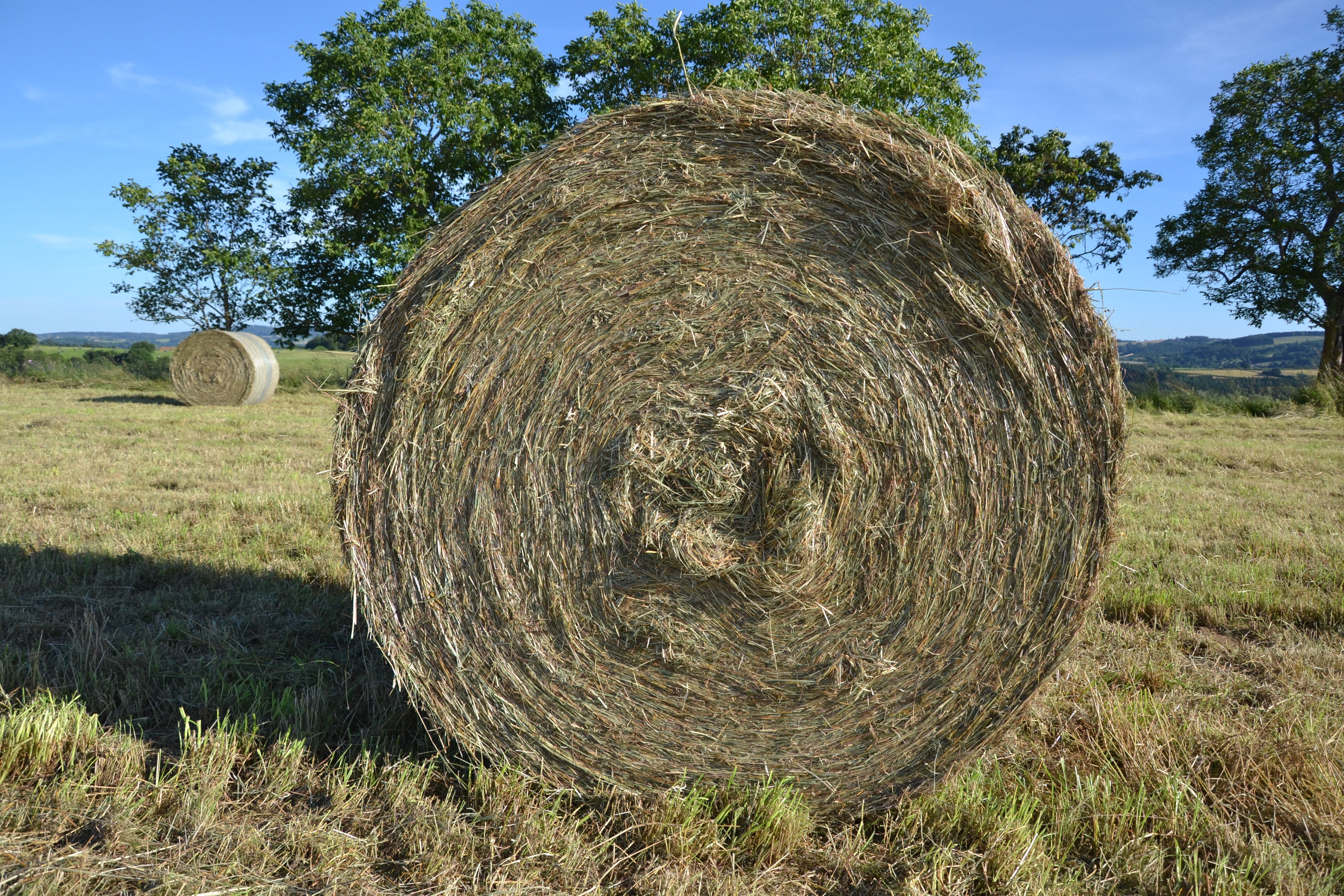 brown round hay