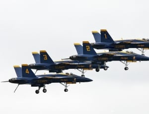 blue and yellow fighting jet thumbnail