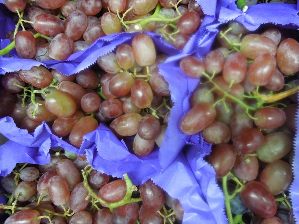 Grapes, Red Grapes, Fruit, Juicy, Food, food and drink, food preview