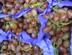 Grapes, Red Grapes, Fruit, Juicy, Food, food and drink, food thumbnail