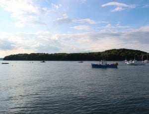 sailboats on body of water near island thumbnail