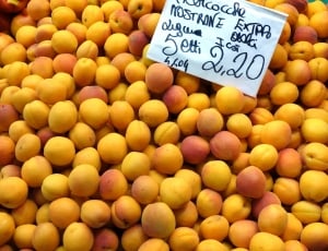 Apricots, Orange, Fruit, Background, food and drink, food thumbnail