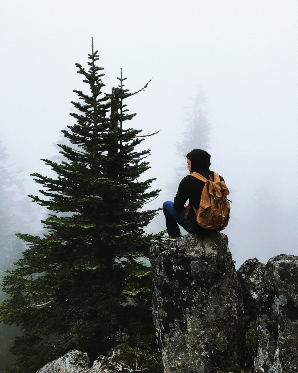 man in black hoodie and blue jeans carrying orange backpack sitting on brown rock on mountain covered with fog preview