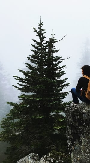 man in black hoodie and blue jeans carrying orange backpack sitting on brown rock on mountain covered with fog thumbnail