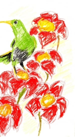 Crayon, Bird, Kid, Drawing Illustration, food and drink, food thumbnail