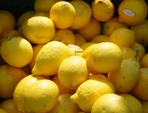 lemon fruits thumbnail