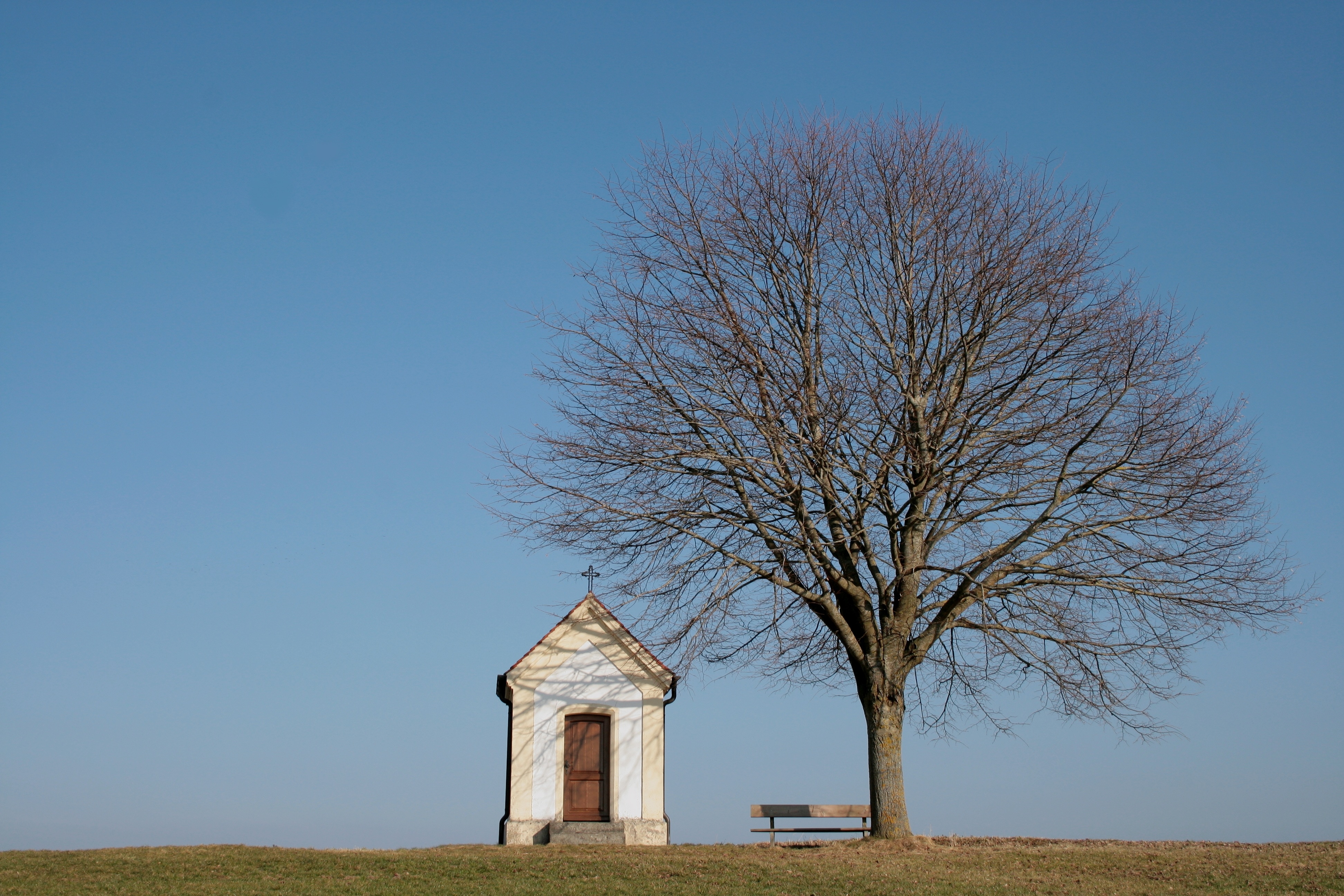 landscape photo of chapel near dead tree photography