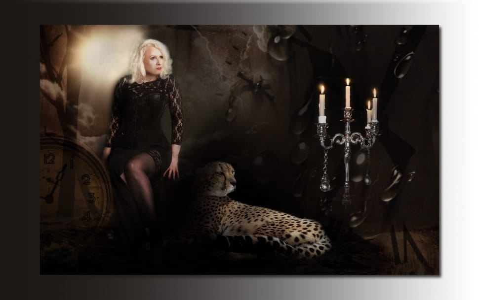 woman in black lace long sleeve shirt standing near leopard photo preview