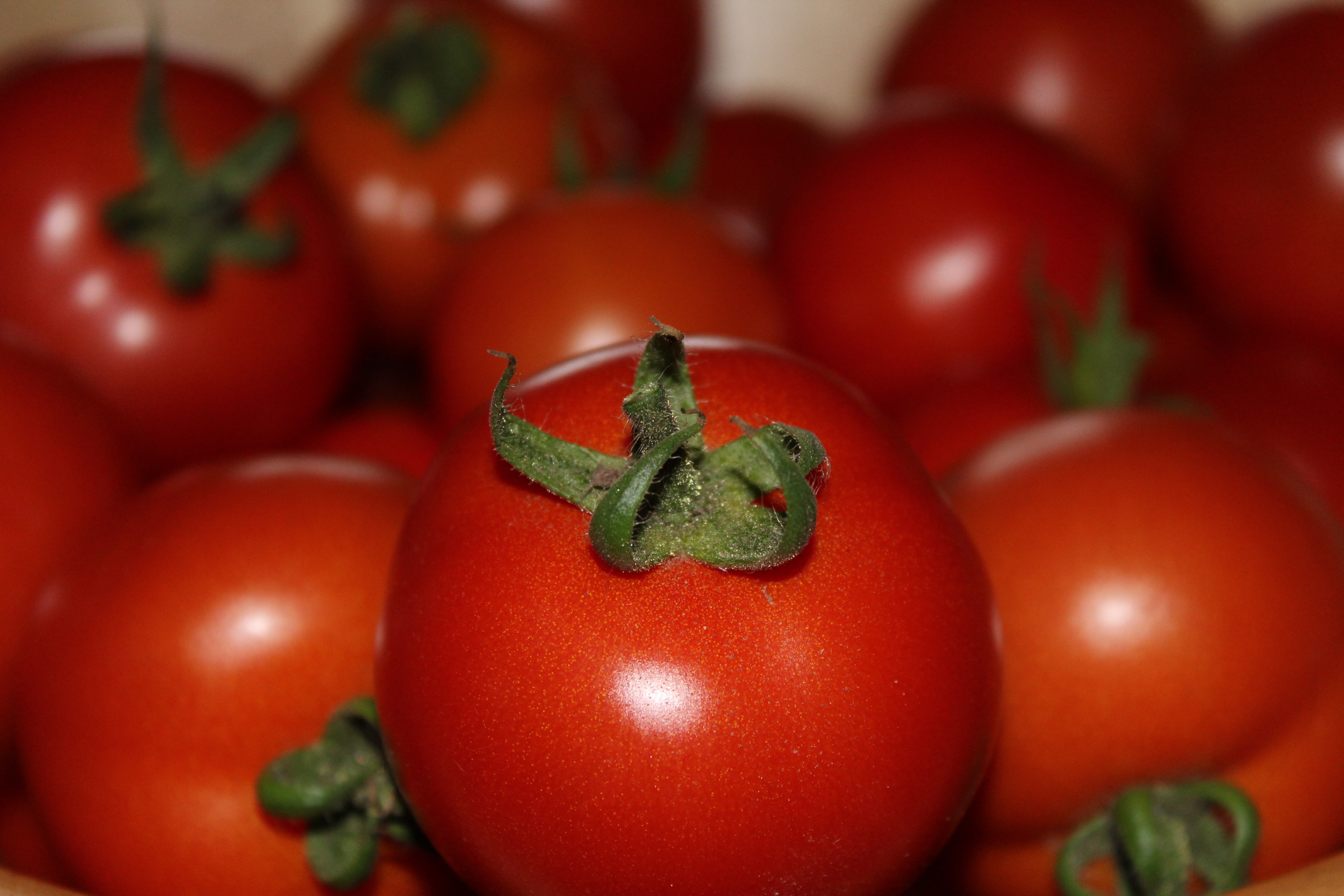 Почему помидоры красные. Томат Лоренцо. Красный помидор. Томатные овощи. Спелые помидоры.