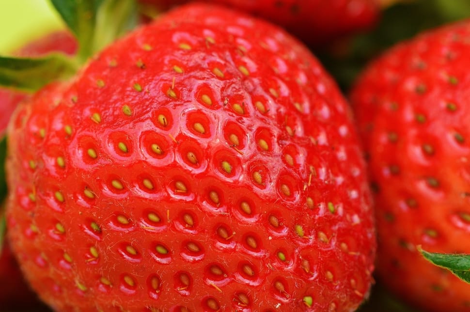 close up selective focus photography of strawberry preview