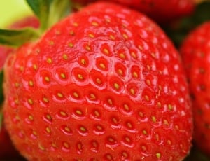close up selective focus photography of strawberry thumbnail