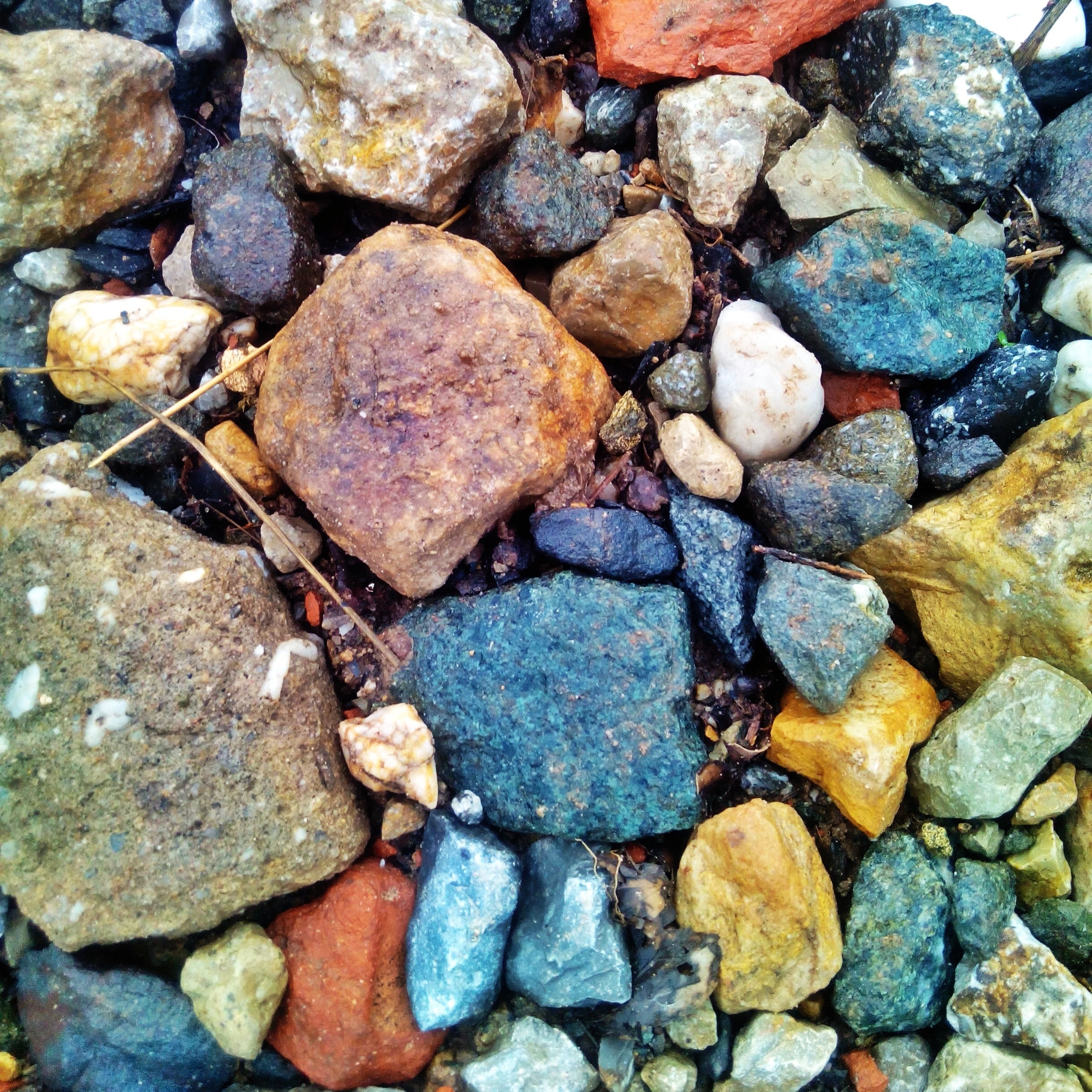 assorted rock lot