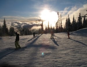people doing snow skis during daytime thumbnail