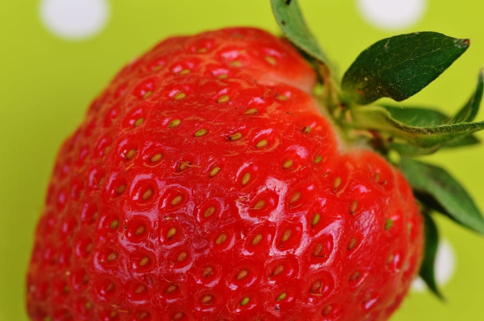 shallow focus photograph of strawberry preview