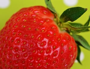 shallow focus photograph of strawberry thumbnail