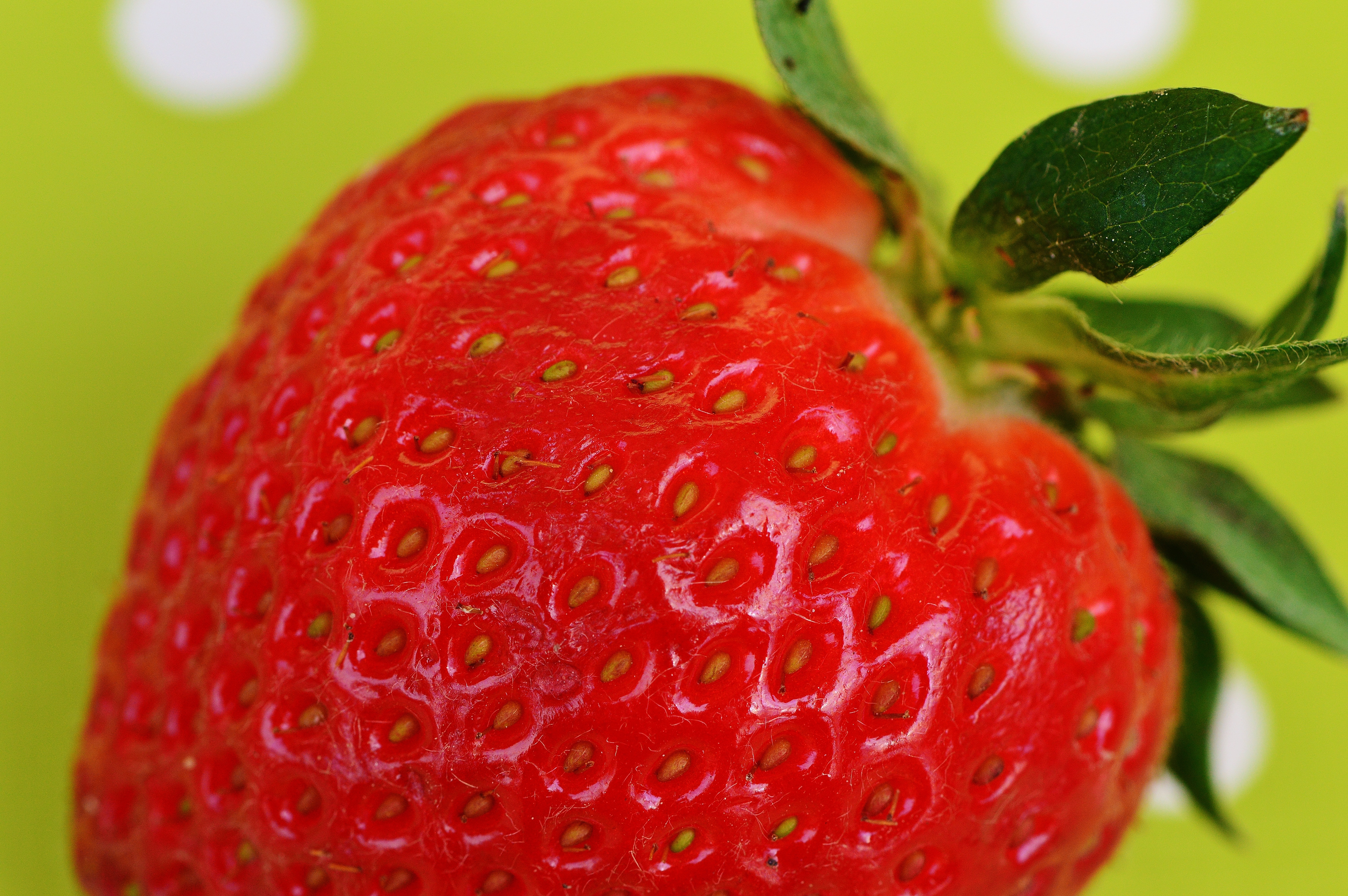 shallow focus photograph of strawberry