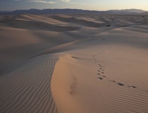 desert field landscape thumbnail